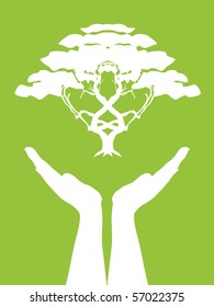 human hands take care of tree, symbol of nature