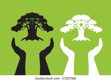 human hands take care of tree, symbol of nature