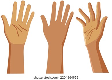 Manos humanas en el vector sobre fondo blanco