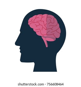 Human head with brain