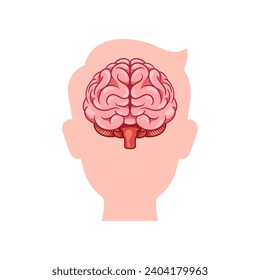 Human head with brain inside cartoon