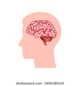 Human head with brain inside cartoon