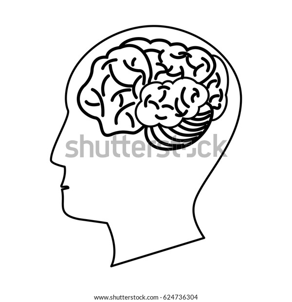 Human Head Brain Outline Stock Vector (Royalty Free) 624736304