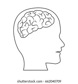 human head with brain part organ anatomy