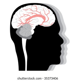 Human head with brain, profile