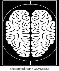  human head with brain for science