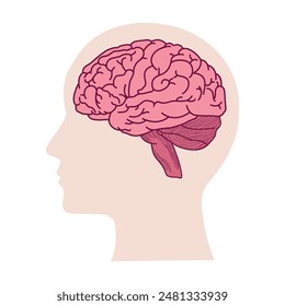 Human head with brain silhouette icon Simple view of head, human brain vector illustration in flat style.