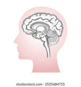 Menschlicher Kopf mit Gehirn Silhouette Symbol Einfache Ansicht des Kopfes, menschliche Gehirn Vektorgrafik mit detaillierten einfachen Teilen.  Silhouettengrafik des Gehirns.