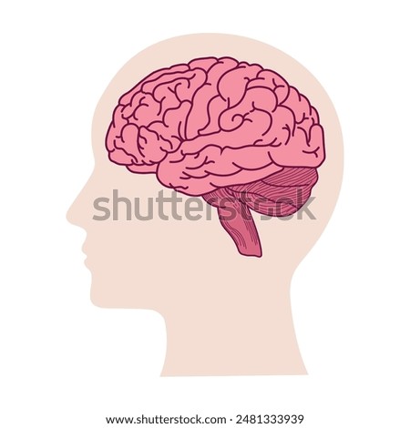 Human head with brain silhouette icon Simple view of head, human brain vector illustration in flat style.