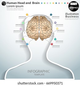 Human Head and  Brain - White line   - modern Idea and Concept Vector illustration Business Infographic template with icon. 
