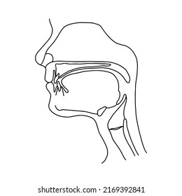 Menschlicher Kopfquerschnitt. Illustration aus der Vektorgrafik über Wissenschaft und Medizin. VektorStock-Illustration.