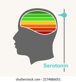 Serotonin-Spiegel vom menschlichen Kopf und vom Hormon. Konzept der Medizin und Pharmazie