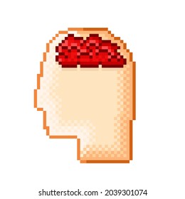 Human head icon with brain pixel art. Human brain icon pixel art. Vector illustration.