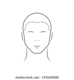 Human head icon. Head guidelines for barbershop, haircut salon. Lined male head in front view isolated on white background. Vector illustration