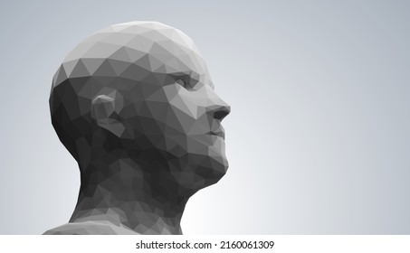 Human head, low poly style 3d vector .