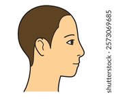 human head model, shaved head, outline, side view, facing right,  vector file set,  color illustration