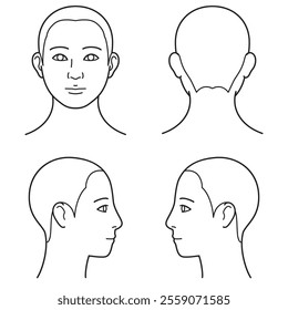 human head model, shaved head, outline, front, back and side, vector file set,  monochrome illustration