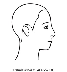 human head model, shaved head, outline, side view, facing right,  vector file set,  monochrome illustration