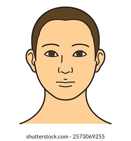 human head model, shaved head, outline, front view, vector file set, color illustration