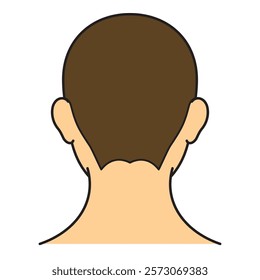 human head model, shaved head, outline, back view, vector file set, color illustration