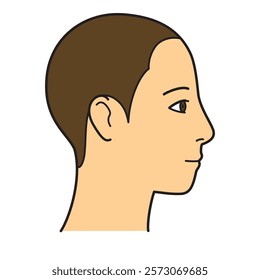 human head model, shaved head, outline, side view, facing right,  vector file set,  color illustration