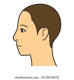 human head model, shaved head, outline, side view, facing left, vector file set,  color illustration