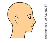 human head model, head skin, outline, side view, facing right, vector file set,  color illustration
