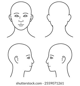 human head model, head skin, outline, front, back and side, vector file set,  monochrome illustration