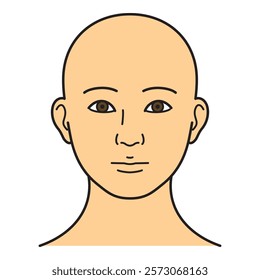 human head model, head skin, outline, front view,  vector file set,  color illustration