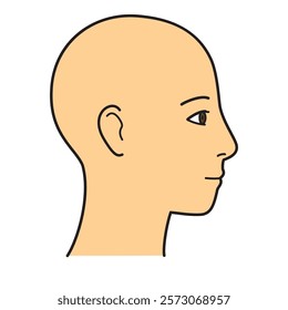 human head model, head skin, outline, side view, facing right, vector file set,  color illustration