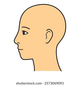 human head model, head skin, outline, side view, facing left, vector file set,  color illustration