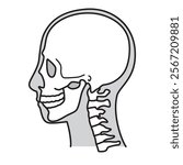human head model, skull, outline, side view, facing left, vector file set,  monochrome illustration