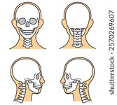 human head model, skull, outline, front, back and side view, vector file set, color illustration