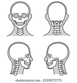 human head model, skull, outline, front, back and side, vector file set,  monochrome illustration