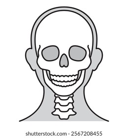 human head model, skull, outline, front view, vector file set,  monochrome illustration