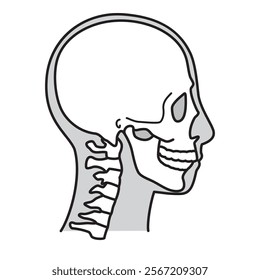 human head model, skull, outline, side view, facing right, vector file set,  monochrome illustration