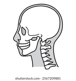 human head model, skull, outline, side view, facing left, vector file set,  monochrome illustration