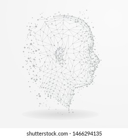 Human head with network plexus structure