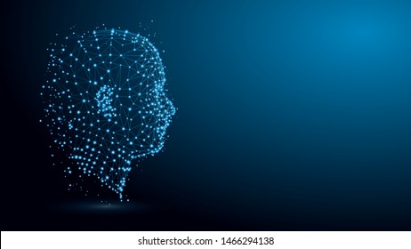 Human head with network plexus structure