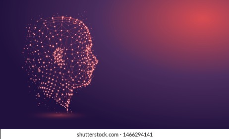 Human head with network plexus structure