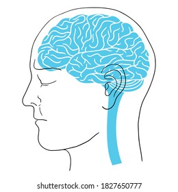 Human head outline with brain
