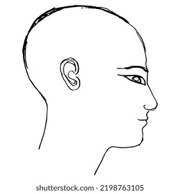 Human head in profile. Portrait of ancient Egyptian man. Black and white linear silhouette. Hand drawn sketch.