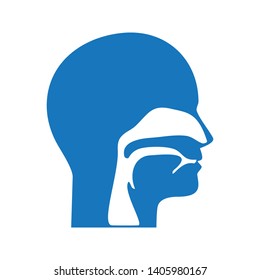 Human head section. Nose and throat. Isolated vector icon