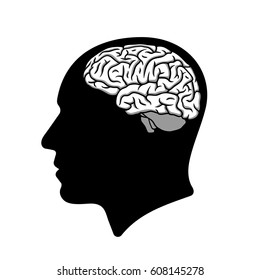 脳イラストと人間の頭のシルエット のベクター画像素材 ロイヤリティフリー Shutterstock