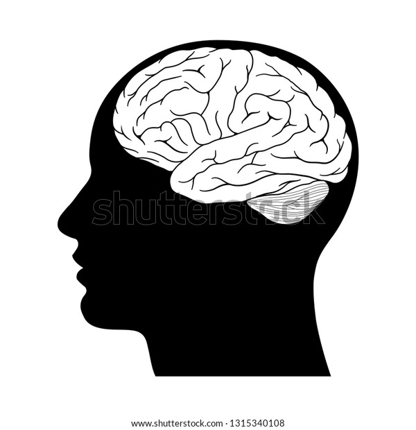 Human Head Silhouette Brain Illustration Stock Vector (Royalty Free ...