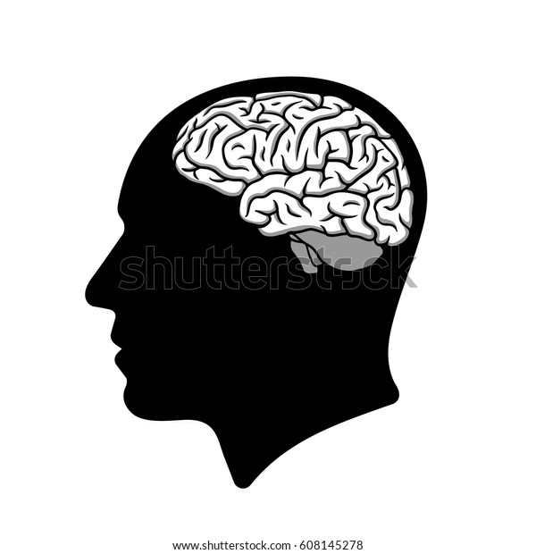 脳イラストと人間の頭のシルエット のベクター画像素材 ロイヤリティフリー