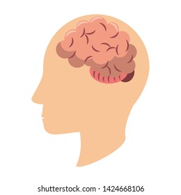 Human head silhouette with brain symbol vector illustration graphic design