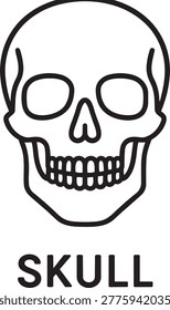 Human head skull bone skeleton face anatomy outline icon graphic illustration for medical science healthcare diagnostic clinical