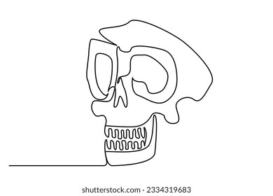 human head skull bones anatomy line art