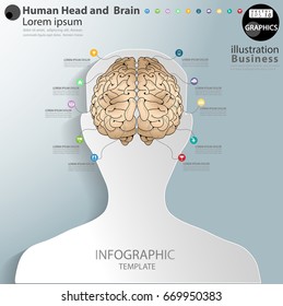 Human Head White and  Brain  - modern Idea and Concept Vector illustration Business Infographic template with icon. 
